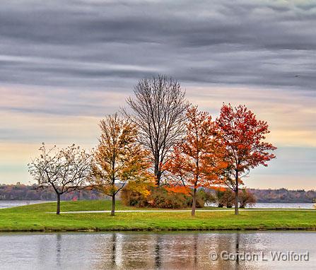 Autumn Trees_18190.jpg - Photographed along the Ottawa River at Ottawa, Ontario, Canada.